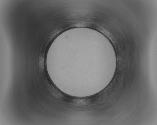 X0000111810297200908201116