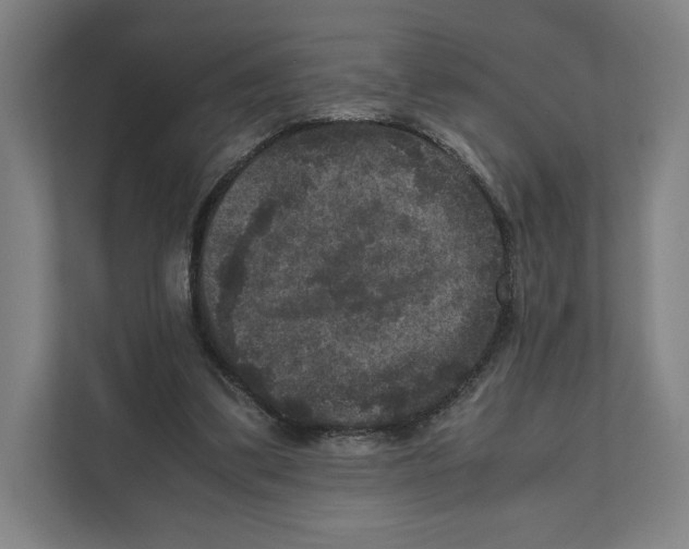 X0000111810299200908201116