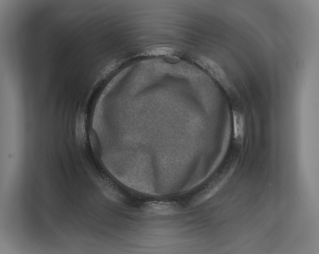 X0000111810300200908201116