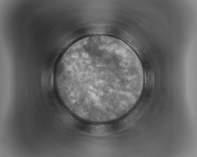 X0000111810301200908201116