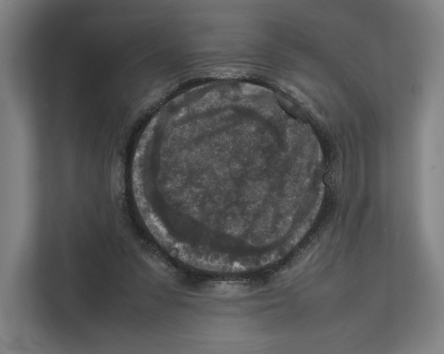X0000111810303200908201116