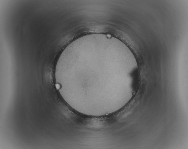 X0000111810305200908201116