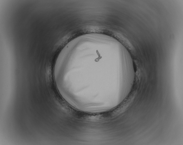 X0000111810306200908201116