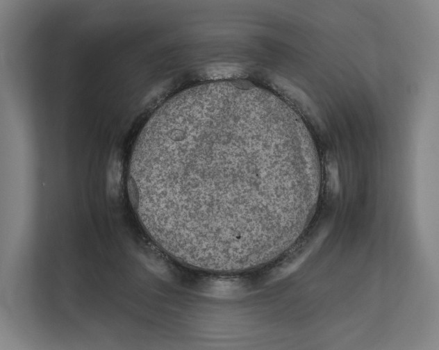 X0000111810308200908201116