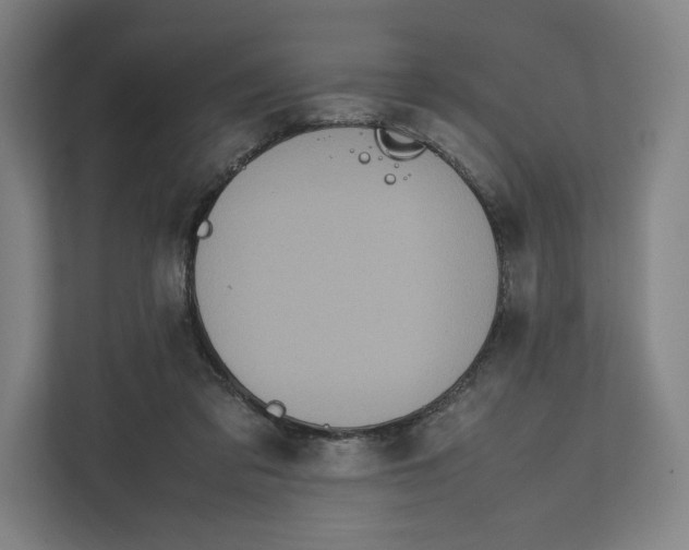 X0000111810309200908201116