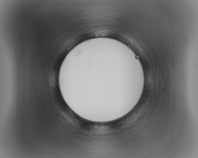 X0000111810311200908201116