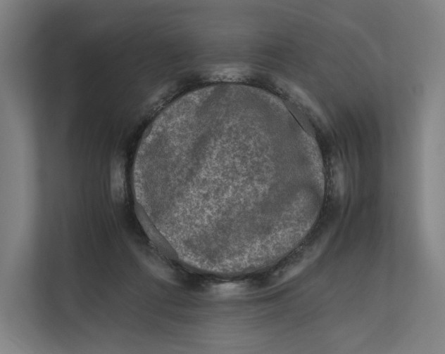 X0000111810312200908201116