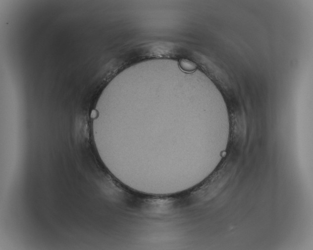 X0000111810313200908201116