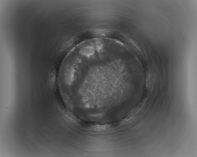 X0000111810314200908201116