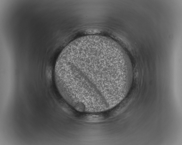 X0000111810315200908201116