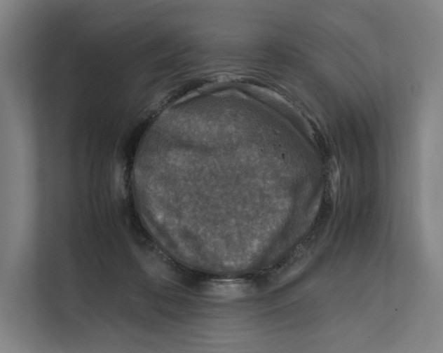 X0000111810316200908201116