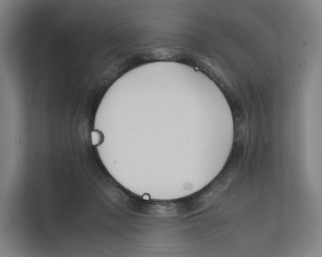 X0000111810317200908201116