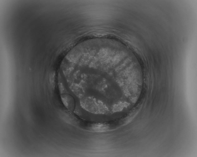 X0000111810319200908201116