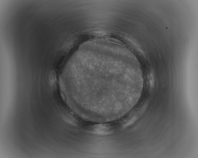 X0000111810320200908201116