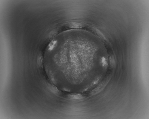 X0000111810322200908201116