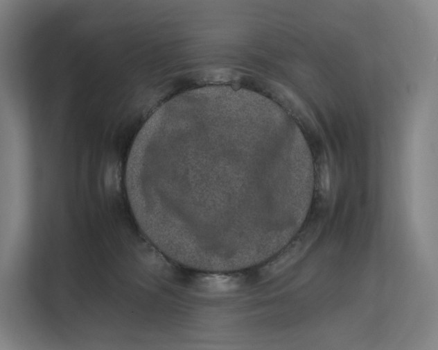 X0000111810326200908201115