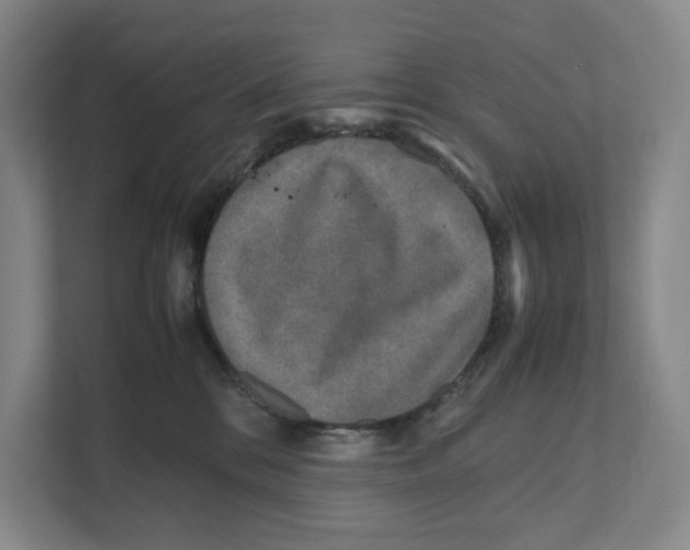 X0000111810328200908201115