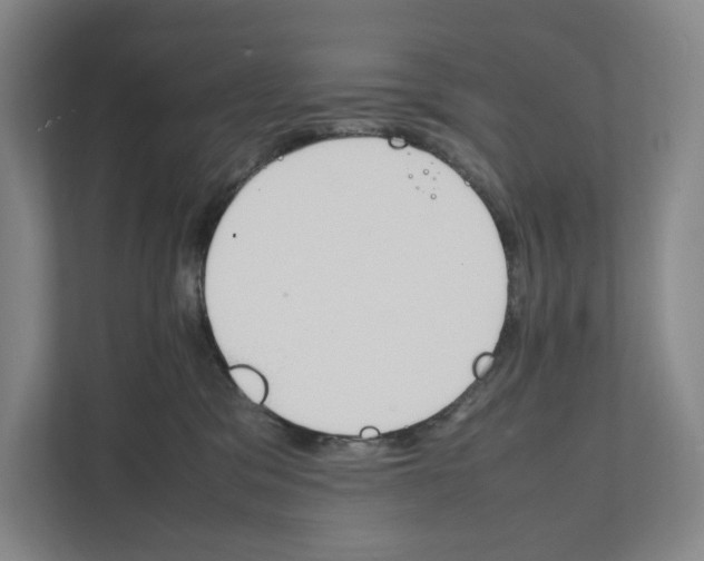 X0000111810329200908201115