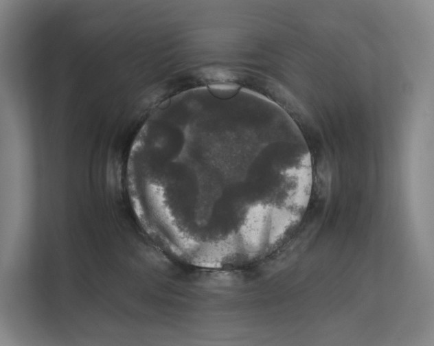 X0000111810330200908201115