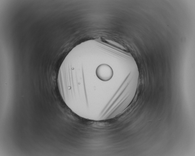 X0000111810332200908201115