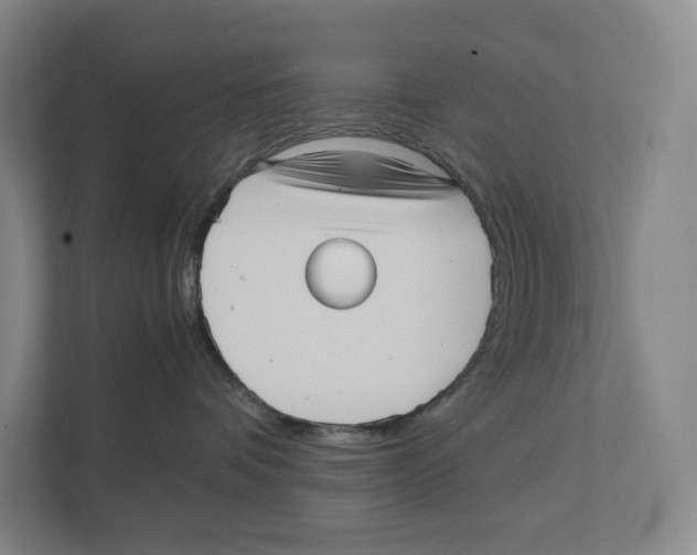 X0000111810336200908201115