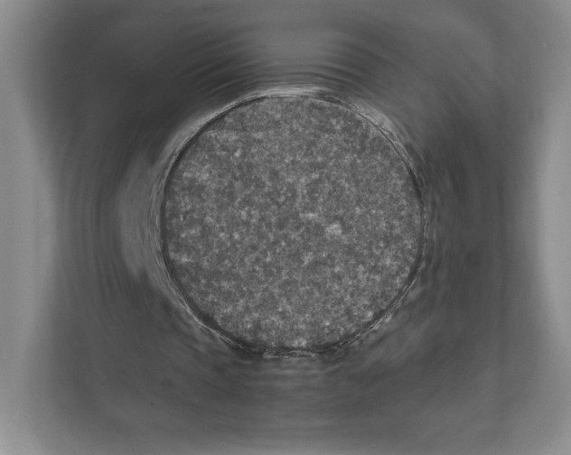 X0000111810337200908201115