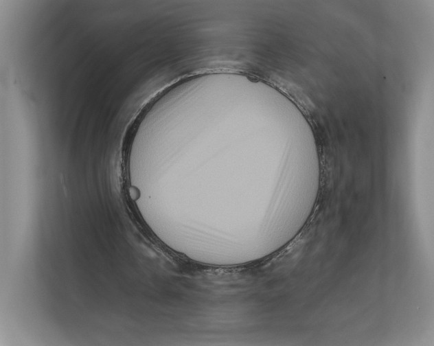 X0000111810338200908201115
