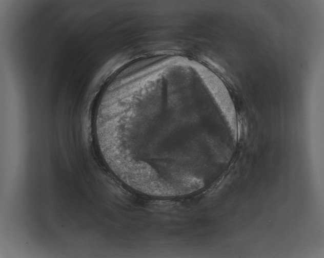 X0000111810339200908201115