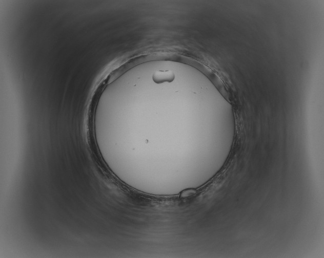 X0000111810340200908201115