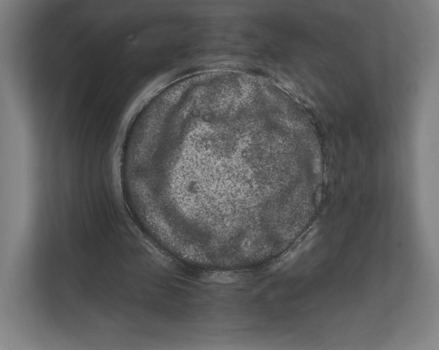 X0000111810341200908201115