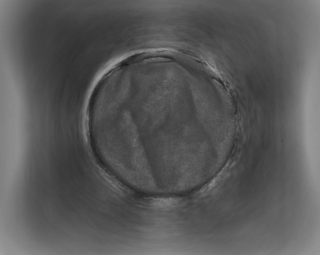X0000111810342200908201115