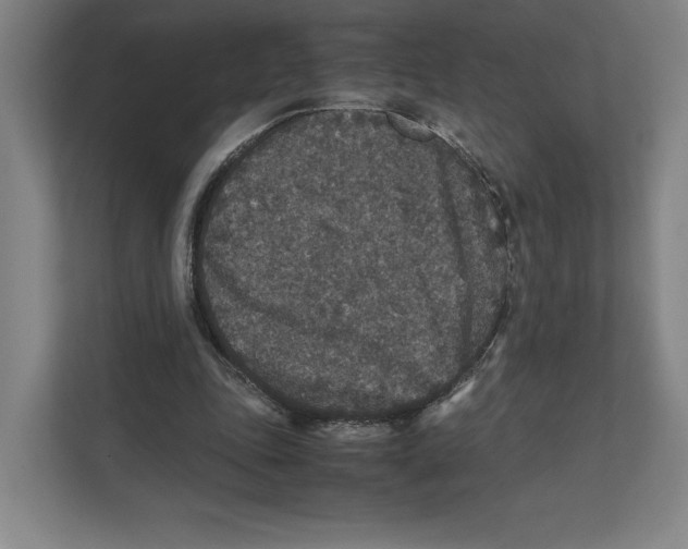 X0000111810343200908201115