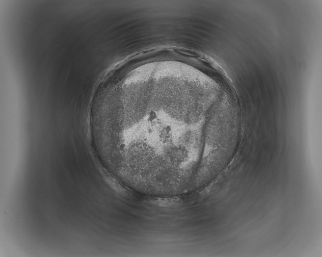 X0000111810345200908201115