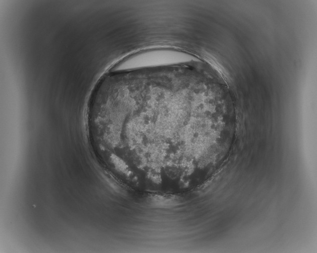 X0000111810346200908201115