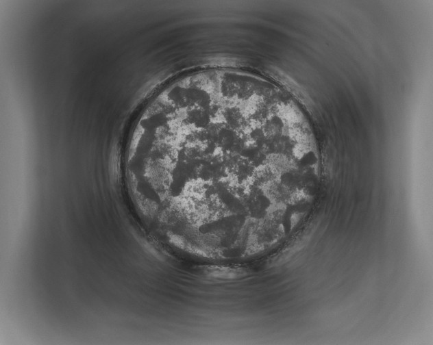 X0000111810347200908201115