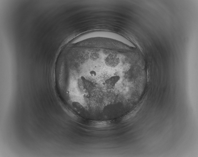 X0000111810349200908201115