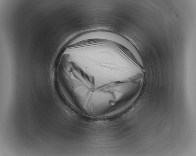 X0000111810350200908201115