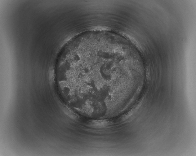 X0000111810351200908201115