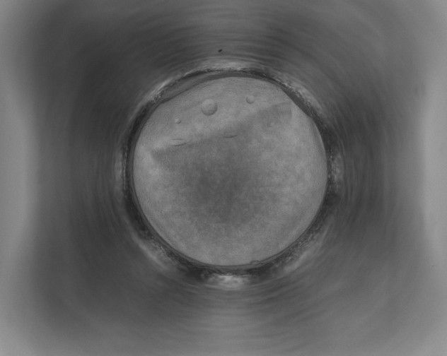 X0000111810352200908201115