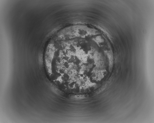 X0000111810353200908201115