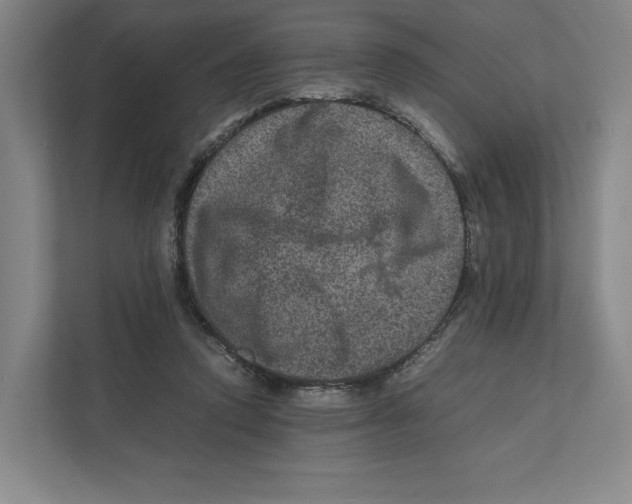 X0000111810354200908201115