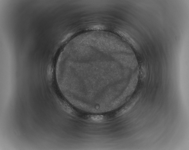 X0000111810355200908201115
