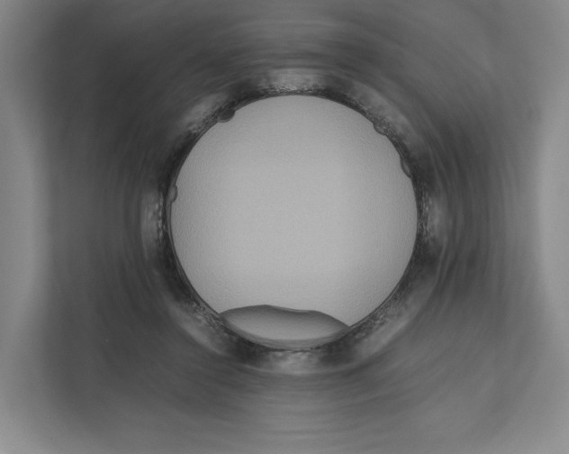 X0000111810356200908201115