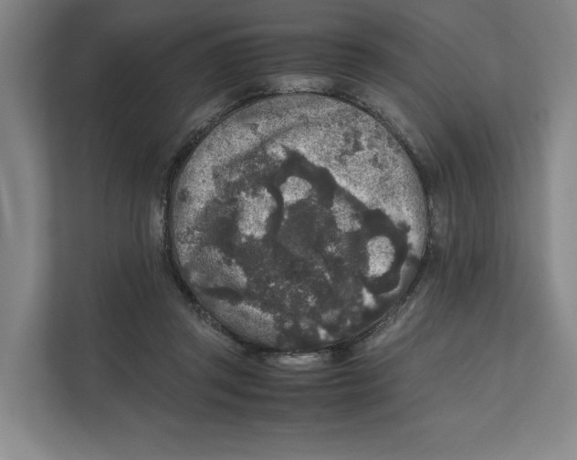 X0000111810357200908201115
