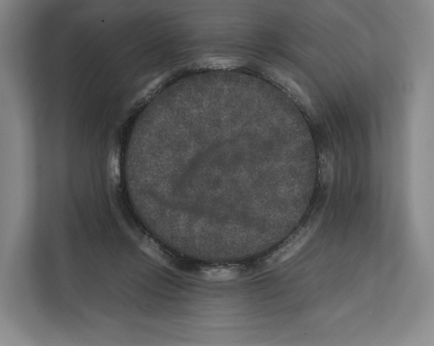 X0000111810358200908201115