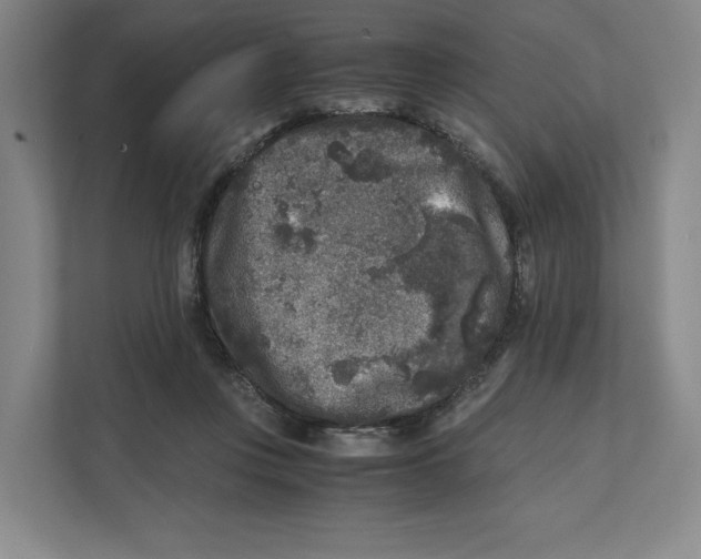 X0000111810359200908201115