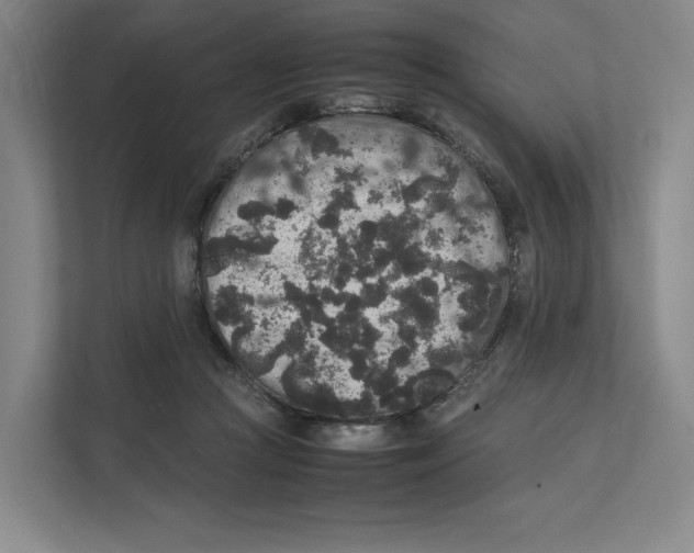 X0000111810361200908201115