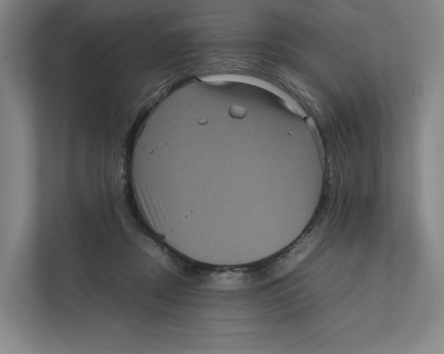 X0000111810362200908201115