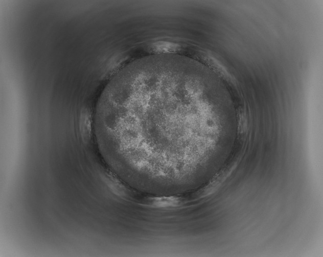 X0000111810363200908201115
