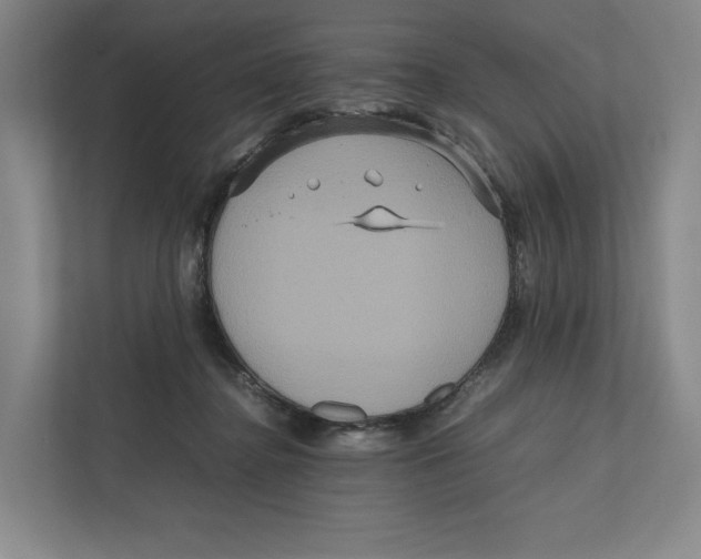 X0000111810364200908201115